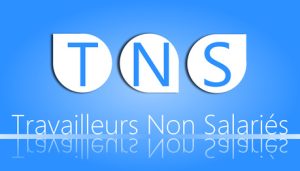 Travailleur non salarié (TNS)